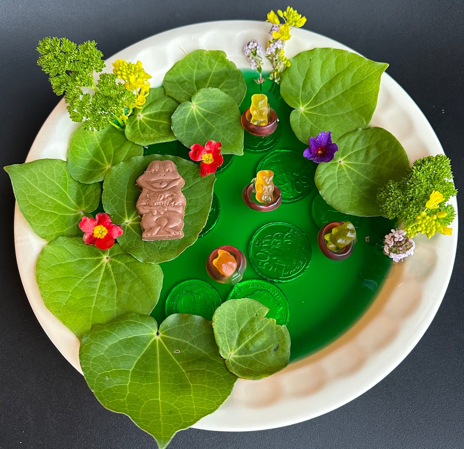 Frog Pond Jelly catalog — Gourmet Quilter